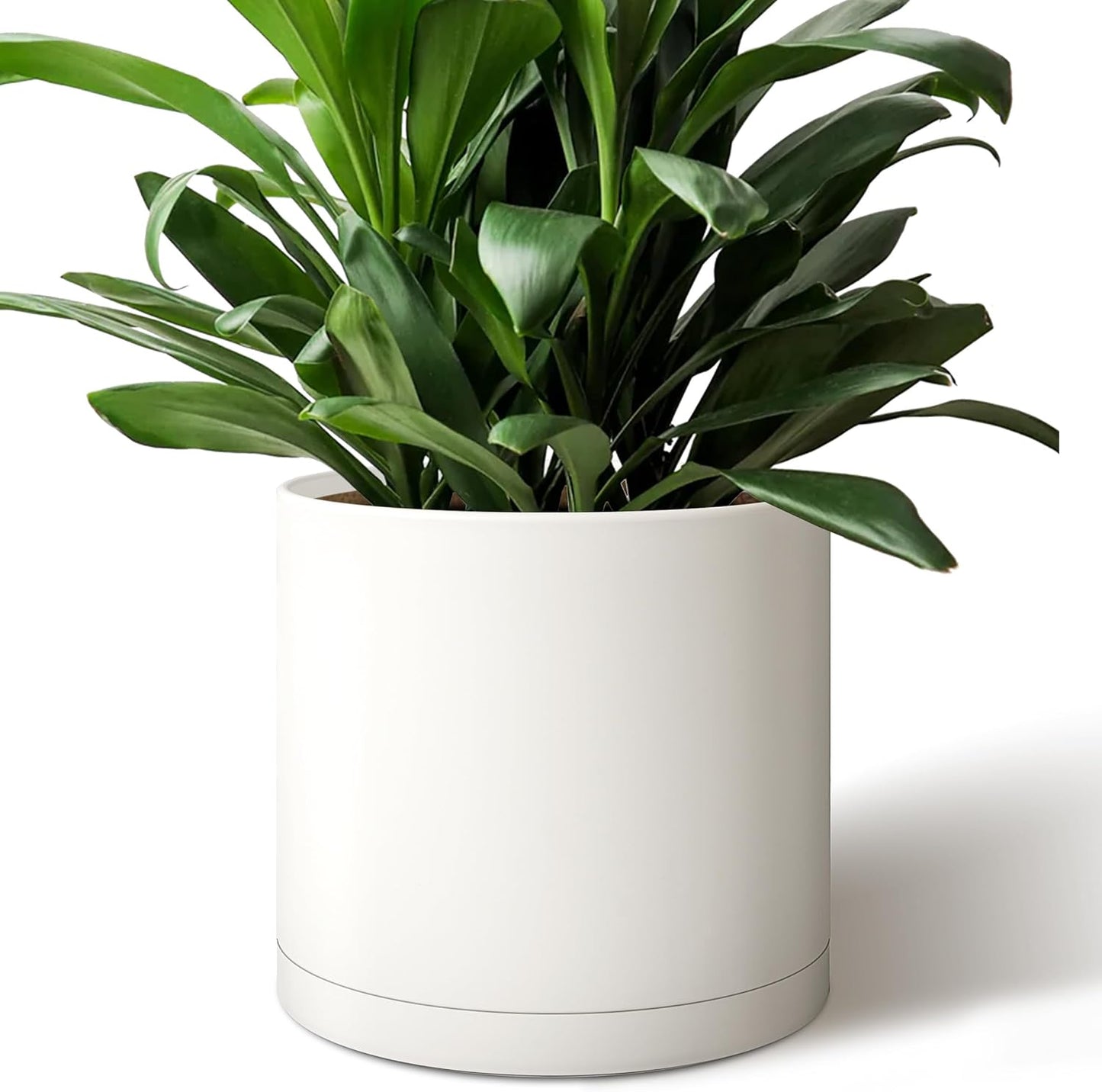 12-Inch Round Cylinder Plant Pot – Modern & Durable Planter