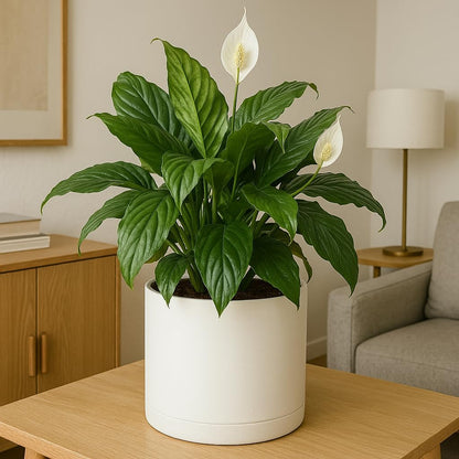 12-Inch Round Cylinder Plant Pot – Modern & Durable Planter